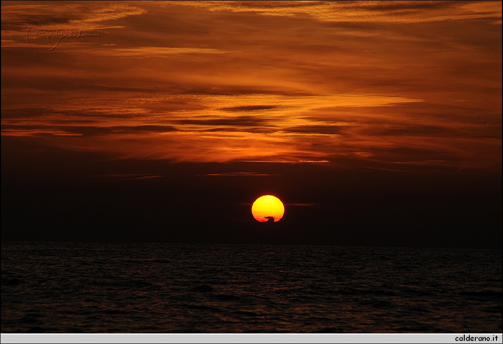 Mare nord 291009 240.jpg