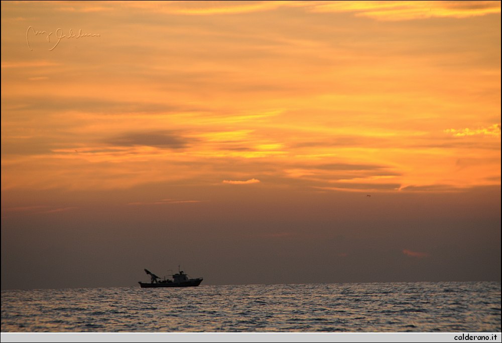 Mare nord 291009 253.jpg
