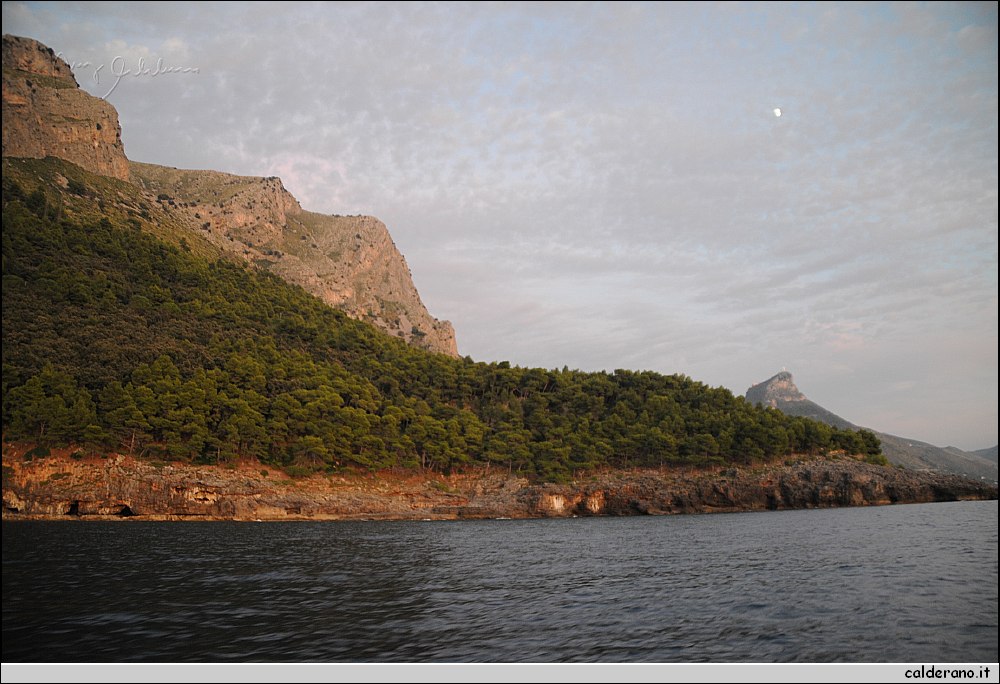 Mare nord 291009 272.jpg