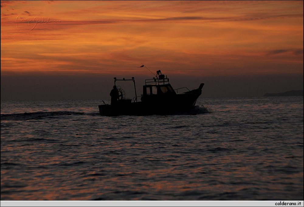 Mare nord 291009 277.jpg