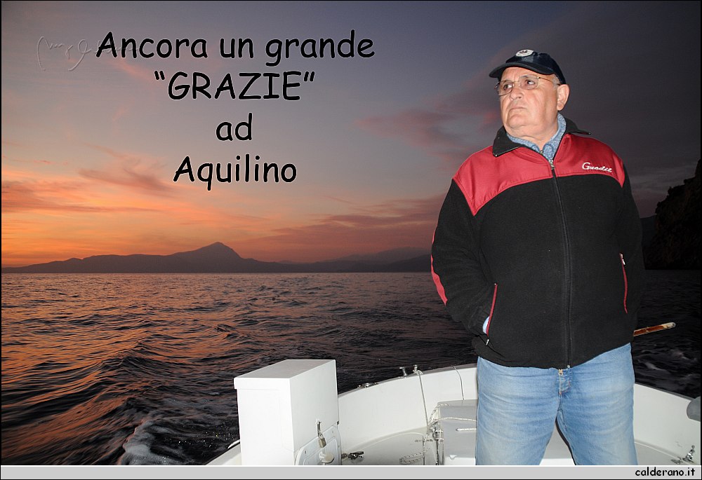 Mare nord 291009 309.jpg