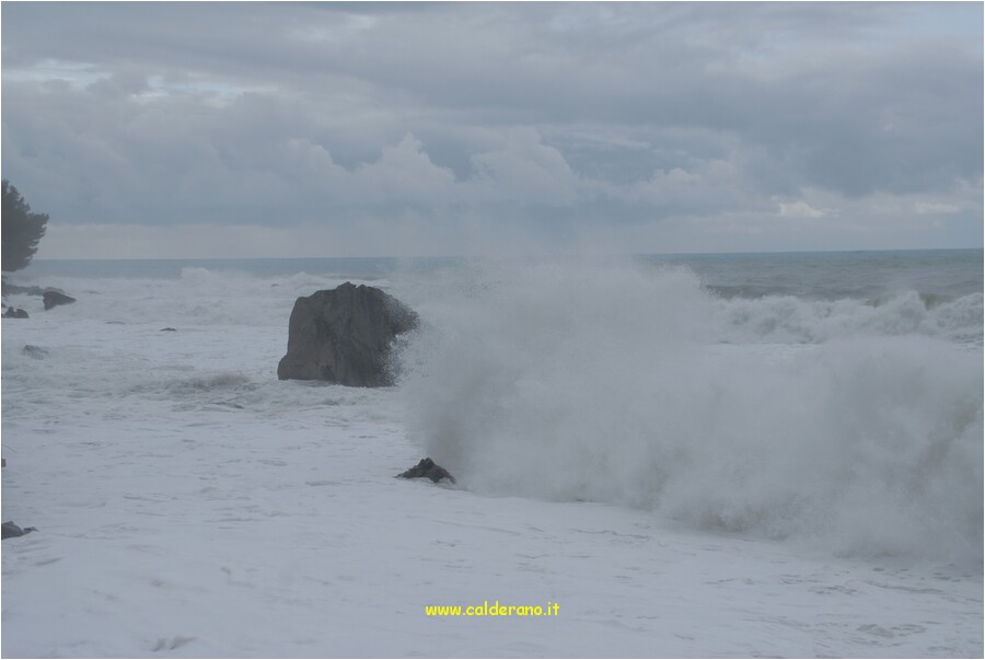 07 Gennaio09 114.jpg