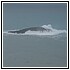07 Gennaio09 011 - 59,2 KB