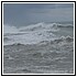07 Gennaio09 046 - 97,4 KB