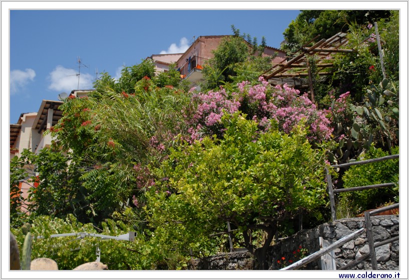 15 Giugno 2008 137.jpg (6,71 MB)