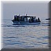 02 Giugno 2008 066.jpg(3,66 MB)