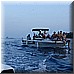02 Giugno 2008 117.jpg(4,29 MB)