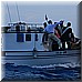 02 Giugno 2008 118.jpg(4,07 MB)