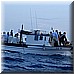 02 Giugno 2008 119.jpg(4,01 MB)