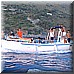 02 Giugno 2008 149.jpg(4,76 MB)