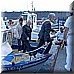 02 Giugno 2008 185.jpg(4,15 MB)