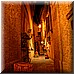 08 Giugno 2008 030.jpg(6,29 MB)
