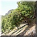 10 Giugno 2008 057.jpg(6,37 MB)