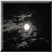 15 Giugno 2008 092.jpg(4,91 MB)