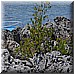 15 Giugno 2008 135.jpg(5,83 MB)