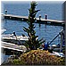 15 Giugno 2008 136.jpg(5,71 MB)