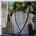 15 Giugno 2008 151.jpg(4,65 MB)
