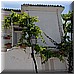 15 Giugno 2008 154.jpg(4,29 MB)
