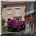 15 Giugno 2008 165.jpg(4,85 MB)