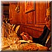 Giugno 26 328.jpg(5,74 MB)