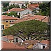 Giugno 28 156.jpg(4,92 MB)