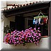 Giugno 28 162.jpg(3,79 MB)