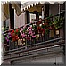 Giugno 28 163.jpg(4,13 MB)