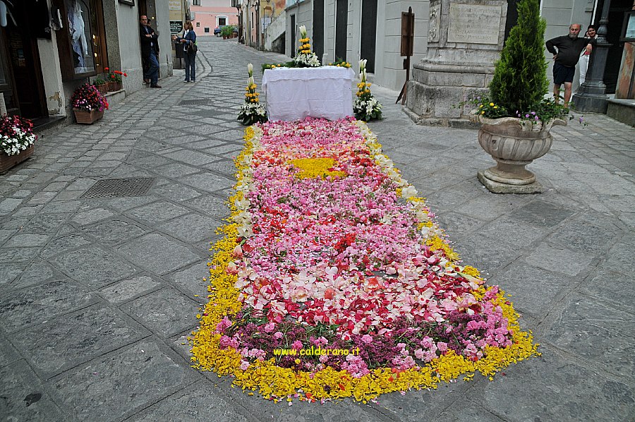 Sei Giugno 009.jpg