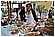 Due Giugno 023 - 249 KB