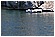 Primo Giugno 016 - 197 KB