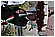 Sei Giugno 066 - 153 KB