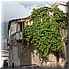 05 -Luglio 2008 010.jpg(4,39 MB)