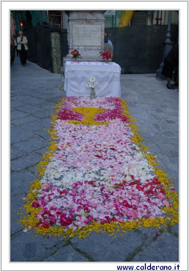 2008 Maggio 322.jpg (4,79 MB)