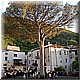 2008 Maggio 044.jpg(5,72 MB)