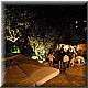 2008 Maggio 571.jpg(5,65 MB)