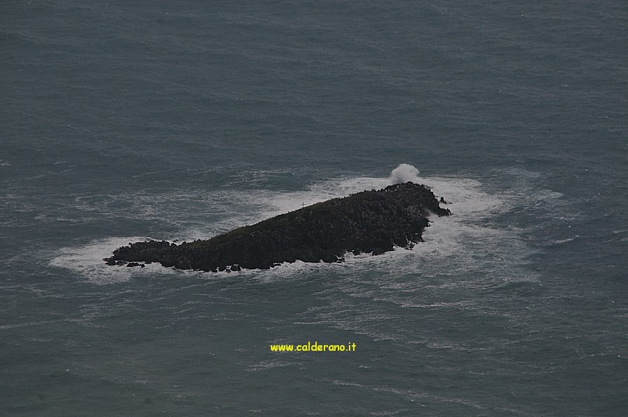Mare 005 160510.jpg