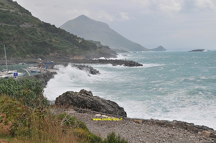 Mare 007 160510.jpg