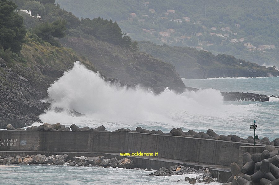 Mare 012 160510.jpg