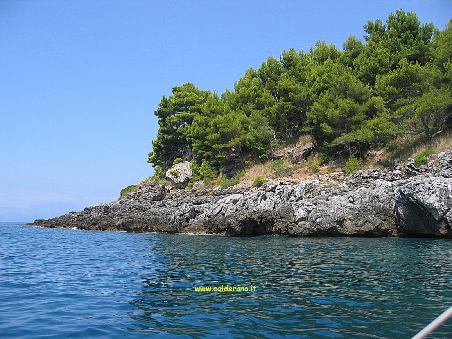 M 010 180807.JPG
