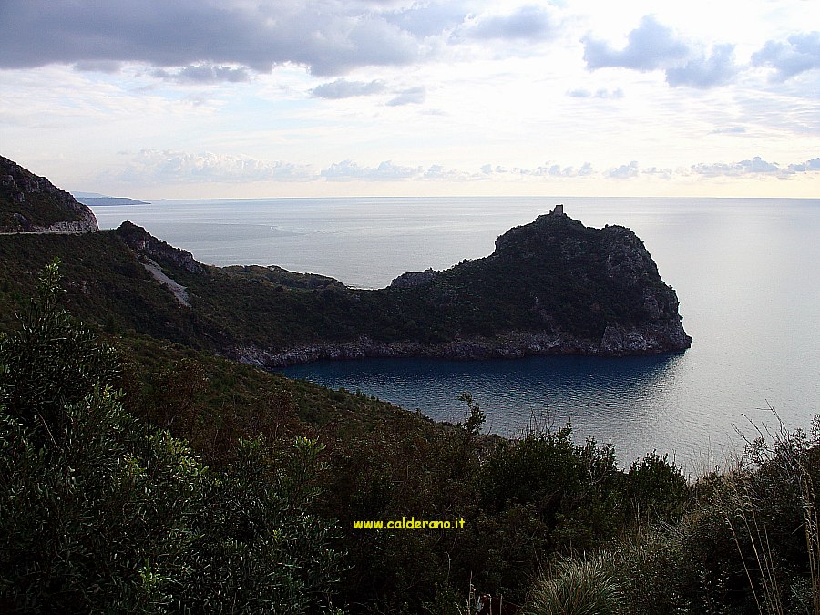 M 013 080104.jpg