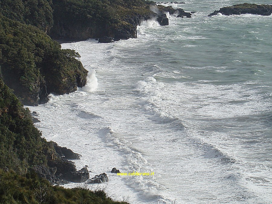 M 016 280204.jpg