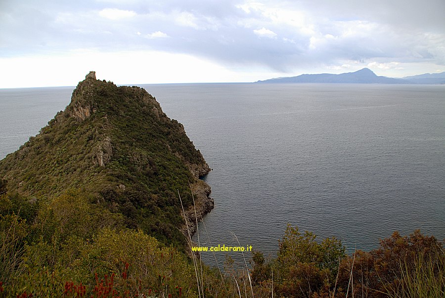 M 024 220209.jpg