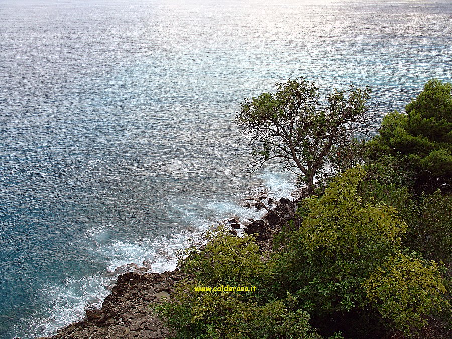 M 041 040805.jpg