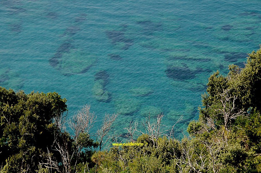 M 088 290909.JPG