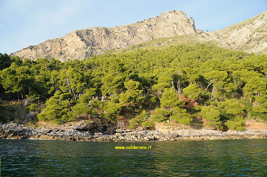 M 308 291009.jpg