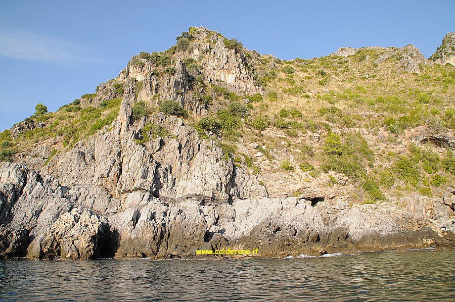 M 309 211009.jpg