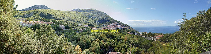 M 312 150908.jpg