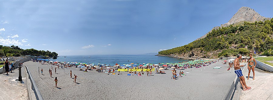 M 317 260808.jpg