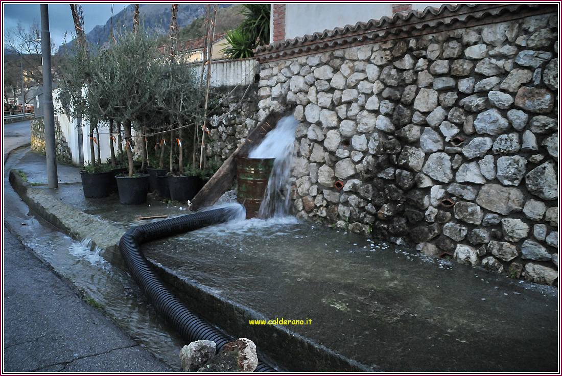 Ciurtiano 110310 02.jpg