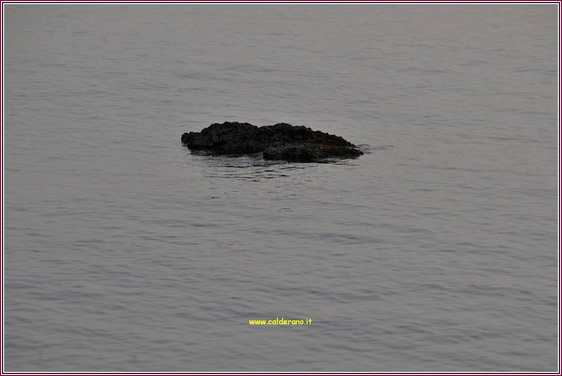 Setteponti 210310 32.jpg